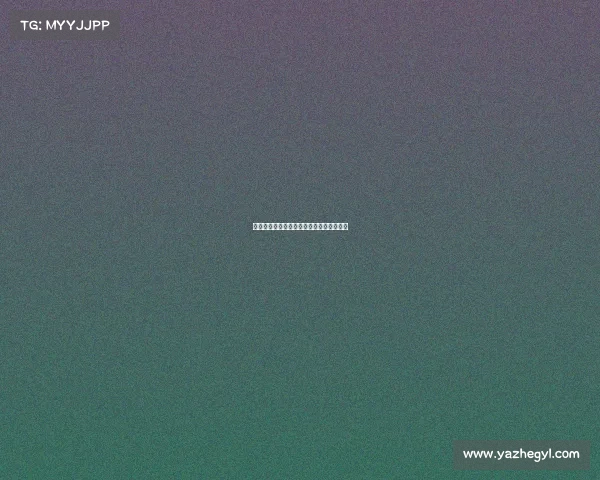 辛集电子竞技协会、辛集电子竞技协会会长